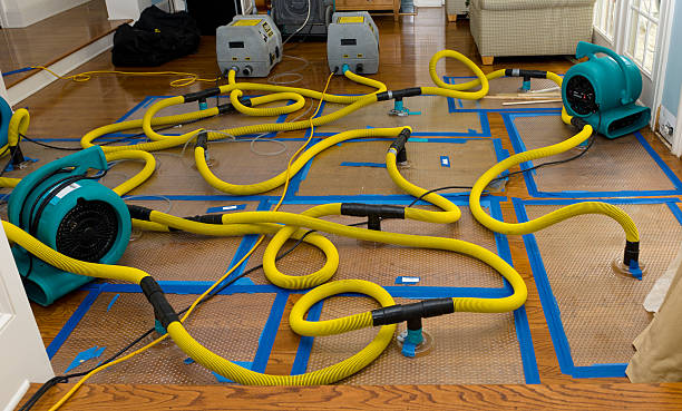 Professional Structural Drying And Dehumidification technician working in Peconic, NY